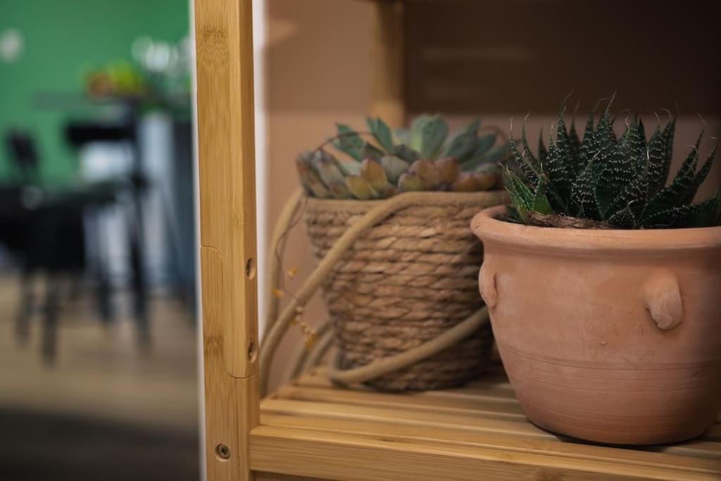 Coin De Nature En Centre-Ville Τρουά Εξωτερικό φωτογραφία